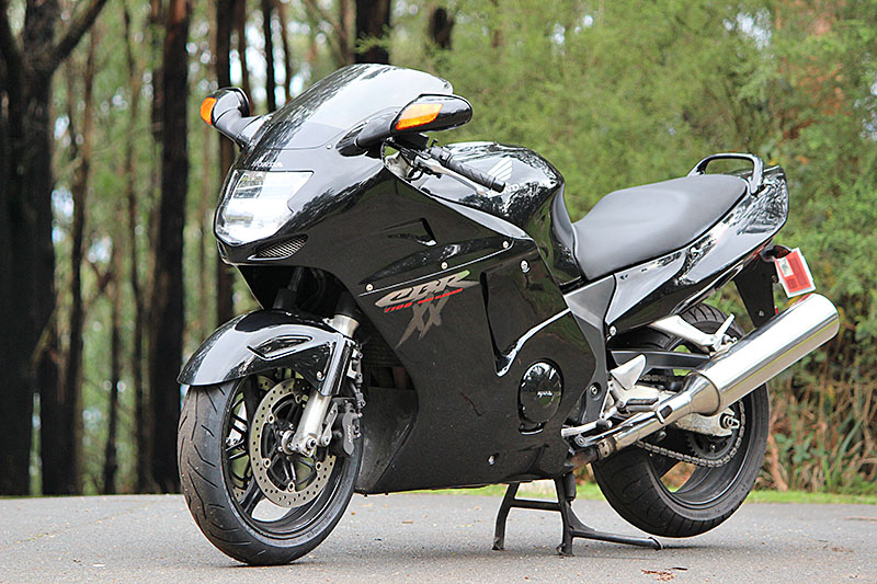 Honda blackbird