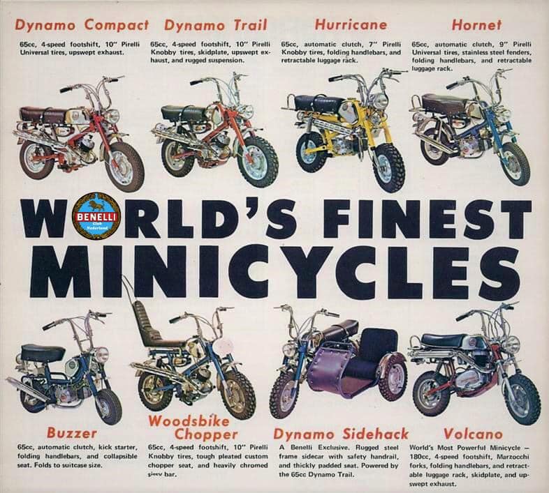 Benelli
              minibikes