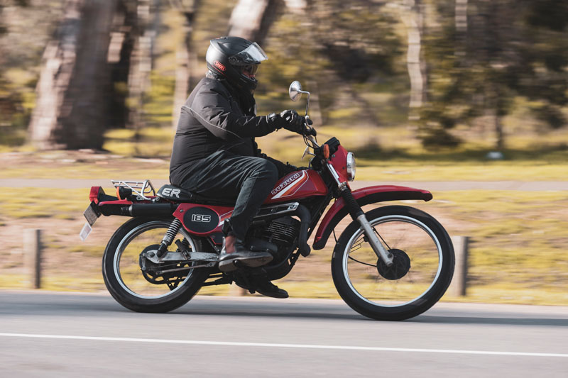 Suzuki
                TS185ER