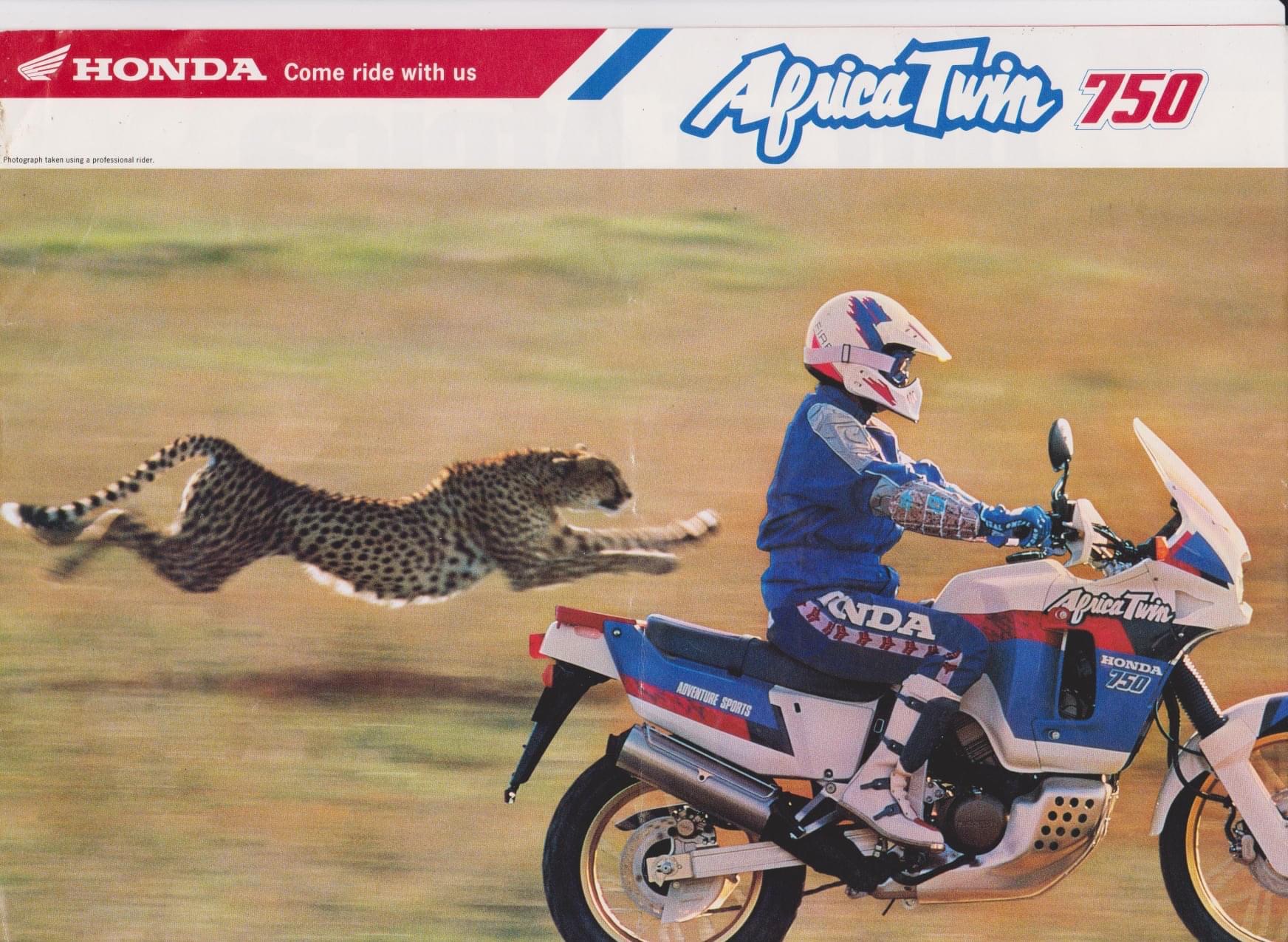 africa
                  twin