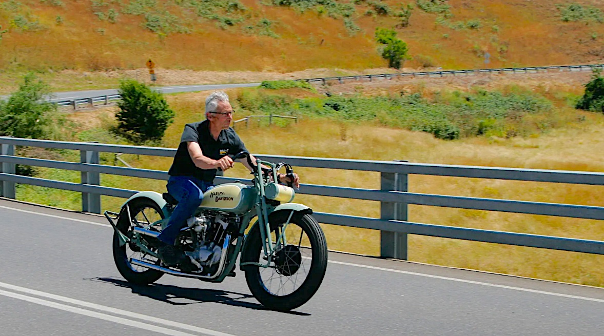 Harley city
              australia
